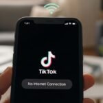 TikTok Says No Internet Connection But Internet Works
