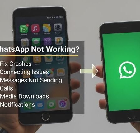 WhatsApp not working
