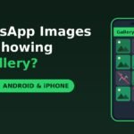 WhatsApp images not showing in gallery fixes