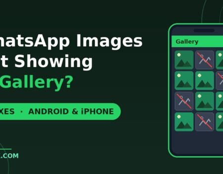 WhatsApp images not showing in gallery fixes